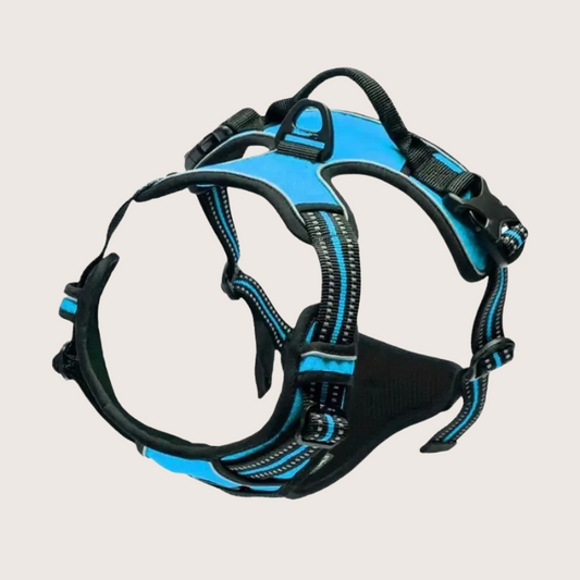 Harnais pour Chien – Anti-Traction Confort Plus - Bleu