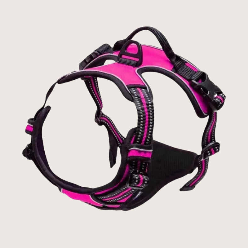Harnais pour Chien – Sport & Course Liberté Totale - Rose