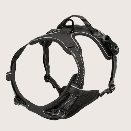 Harnais pour Chien – Cani-Cross Résistance Active - Noir