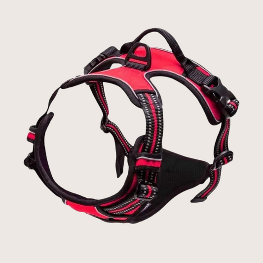 Harnais pour Chien – Sécurité Voiture & Promenade - Rouge