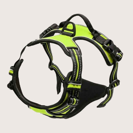 Harnais pour Chien – Meilleur Maintien Rembourré - Jaune